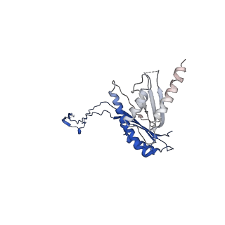 10147_6sd3_E_v1-1
34mer structure of the Salmonella flagella MS-ring protein FliF
