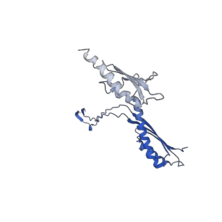 10147_6sd3_F_v1-1
34mer structure of the Salmonella flagella MS-ring protein FliF