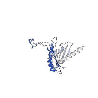 10147_6sd3_H_v1-1
34mer structure of the Salmonella flagella MS-ring protein FliF