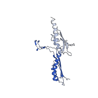 10147_6sd3_I_v1-1
34mer structure of the Salmonella flagella MS-ring protein FliF