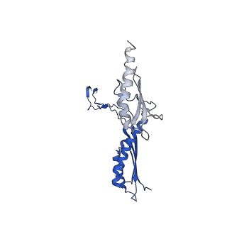 10147_6sd3_J_v1-1
34mer structure of the Salmonella flagella MS-ring protein FliF