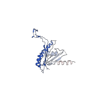 10147_6sd3_K_v1-1
34mer structure of the Salmonella flagella MS-ring protein FliF