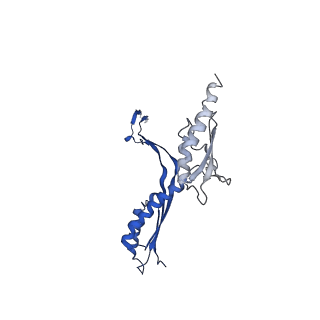 10147_6sd3_L_v1-1
34mer structure of the Salmonella flagella MS-ring protein FliF