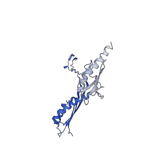 10147_6sd3_M_v1-1
34mer structure of the Salmonella flagella MS-ring protein FliF