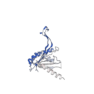 10147_6sd3_N_v1-1
34mer structure of the Salmonella flagella MS-ring protein FliF