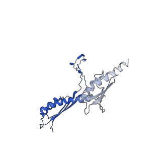 10147_6sd3_O_v1-1
34mer structure of the Salmonella flagella MS-ring protein FliF