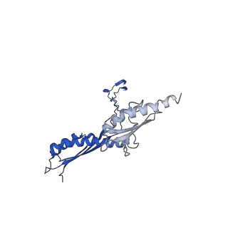 10147_6sd3_P_v1-1
34mer structure of the Salmonella flagella MS-ring protein FliF