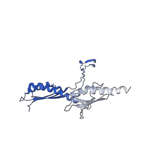 10147_6sd3_R_v1-1
34mer structure of the Salmonella flagella MS-ring protein FliF