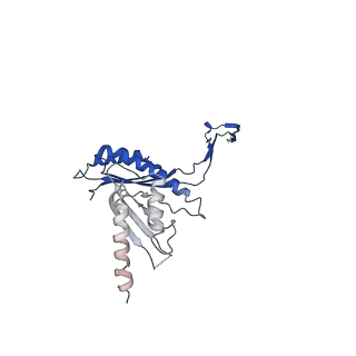 10147_6sd3_S_v1-1
34mer structure of the Salmonella flagella MS-ring protein FliF