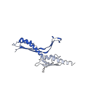 10147_6sd3_T_v1-1
34mer structure of the Salmonella flagella MS-ring protein FliF