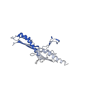 10147_6sd3_U_v1-1
34mer structure of the Salmonella flagella MS-ring protein FliF