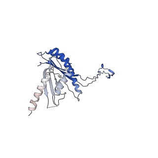 10147_6sd3_V_v1-1
34mer structure of the Salmonella flagella MS-ring protein FliF