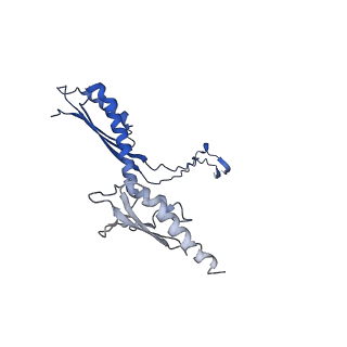 10147_6sd3_W_v1-1
34mer structure of the Salmonella flagella MS-ring protein FliF