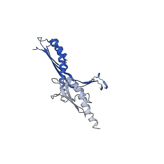 10147_6sd3_X_v1-1
34mer structure of the Salmonella flagella MS-ring protein FliF