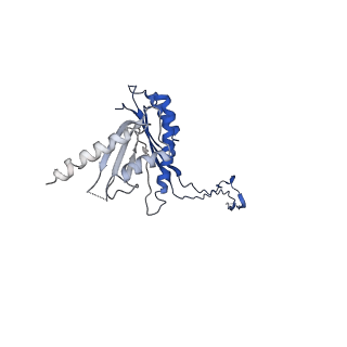10147_6sd3_Y_v1-1
34mer structure of the Salmonella flagella MS-ring protein FliF