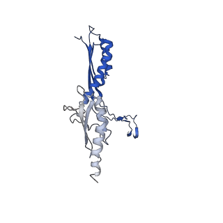 10147_6sd3_a_v1-1
34mer structure of the Salmonella flagella MS-ring protein FliF