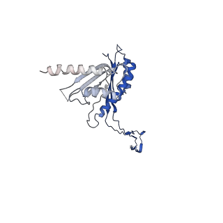 10147_6sd3_b_v1-1
34mer structure of the Salmonella flagella MS-ring protein FliF