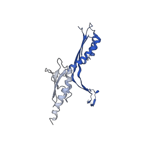 10147_6sd3_c_v1-1
34mer structure of the Salmonella flagella MS-ring protein FliF