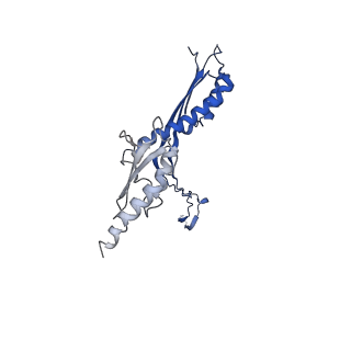 10147_6sd3_d_v1-1
34mer structure of the Salmonella flagella MS-ring protein FliF