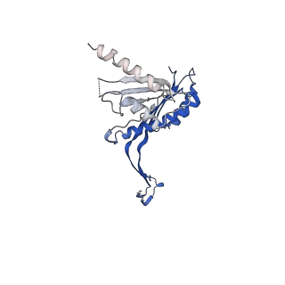 10147_6sd3_e_v1-1
34mer structure of the Salmonella flagella MS-ring protein FliF