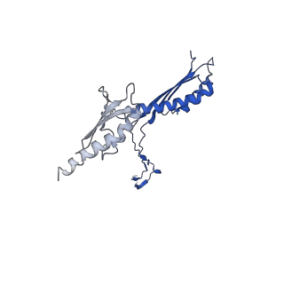 10147_6sd3_f_v1-1
34mer structure of the Salmonella flagella MS-ring protein FliF