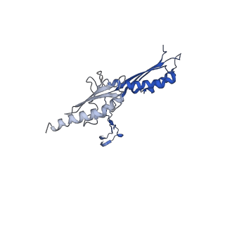 10147_6sd3_g_v1-1
34mer structure of the Salmonella flagella MS-ring protein FliF