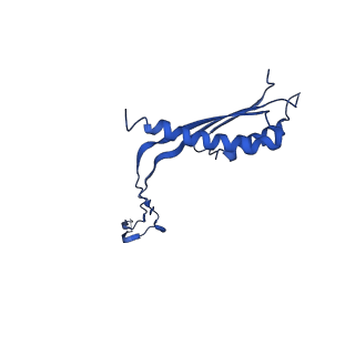 10147_6sd3_h_v1-1
34mer structure of the Salmonella flagella MS-ring protein FliF