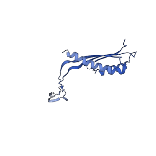 10148_6sd4_A_v1-1
Structure of the RBM3/collar region of the Salmonella flagella MS-ring protein FliF with 34-fold symmetry applied