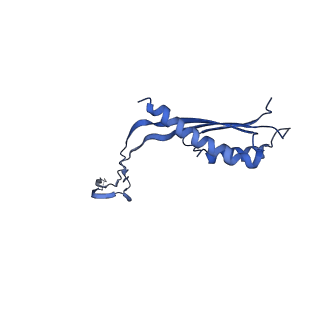 10148_6sd4_B_v1-1
Structure of the RBM3/collar region of the Salmonella flagella MS-ring protein FliF with 34-fold symmetry applied