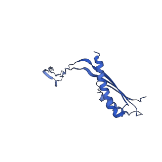 10148_6sd4_F_v1-1
Structure of the RBM3/collar region of the Salmonella flagella MS-ring protein FliF with 34-fold symmetry applied