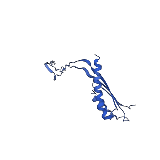 10148_6sd4_G_v1-1
Structure of the RBM3/collar region of the Salmonella flagella MS-ring protein FliF with 34-fold symmetry applied