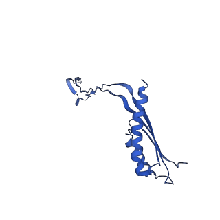10148_6sd4_H_v1-1
Structure of the RBM3/collar region of the Salmonella flagella MS-ring protein FliF with 34-fold symmetry applied