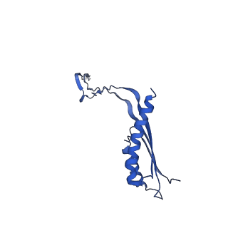10148_6sd4_I_v1-1
Structure of the RBM3/collar region of the Salmonella flagella MS-ring protein FliF with 34-fold symmetry applied