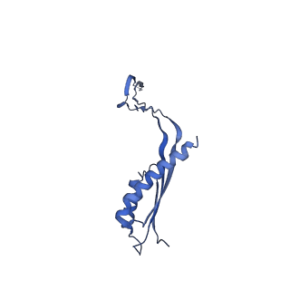 10148_6sd4_L_v1-1
Structure of the RBM3/collar region of the Salmonella flagella MS-ring protein FliF with 34-fold symmetry applied