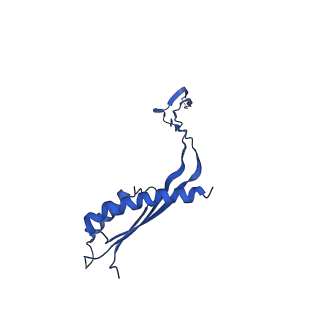 10148_6sd4_O_v1-1
Structure of the RBM3/collar region of the Salmonella flagella MS-ring protein FliF with 34-fold symmetry applied