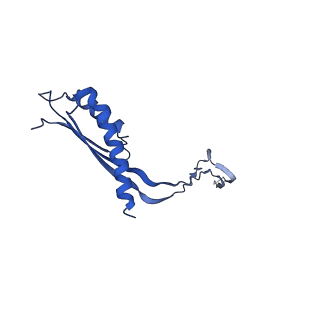 10148_6sd4_W_v1-1
Structure of the RBM3/collar region of the Salmonella flagella MS-ring protein FliF with 34-fold symmetry applied