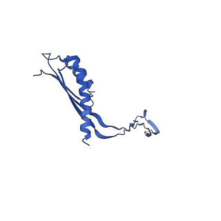 10148_6sd4_X_v1-1
Structure of the RBM3/collar region of the Salmonella flagella MS-ring protein FliF with 34-fold symmetry applied