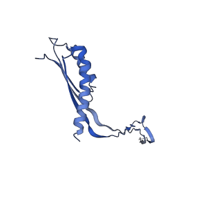 10148_6sd4_Y_v1-1
Structure of the RBM3/collar region of the Salmonella flagella MS-ring protein FliF with 34-fold symmetry applied