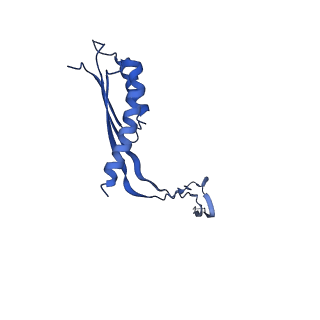 10148_6sd4_Z_v1-1
Structure of the RBM3/collar region of the Salmonella flagella MS-ring protein FliF with 34-fold symmetry applied