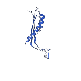 10148_6sd4_b_v1-1
Structure of the RBM3/collar region of the Salmonella flagella MS-ring protein FliF with 34-fold symmetry applied