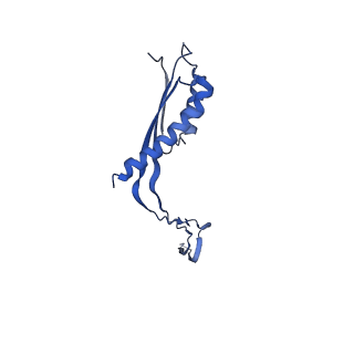 10148_6sd4_c_v1-1
Structure of the RBM3/collar region of the Salmonella flagella MS-ring protein FliF with 34-fold symmetry applied