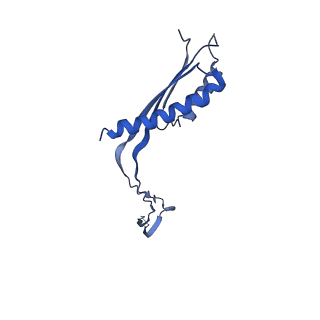 10148_6sd4_e_v1-1
Structure of the RBM3/collar region of the Salmonella flagella MS-ring protein FliF with 34-fold symmetry applied