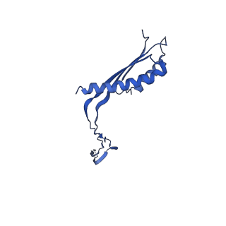 10148_6sd4_f_v1-1
Structure of the RBM3/collar region of the Salmonella flagella MS-ring protein FliF with 34-fold symmetry applied