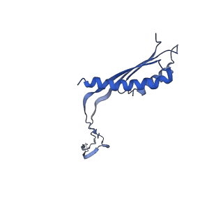 10148_6sd4_g_v1-1
Structure of the RBM3/collar region of the Salmonella flagella MS-ring protein FliF with 34-fold symmetry applied