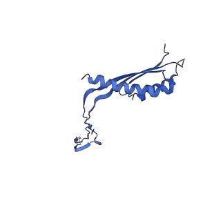 10148_6sd4_h_v1-1
Structure of the RBM3/collar region of the Salmonella flagella MS-ring protein FliF with 34-fold symmetry applied