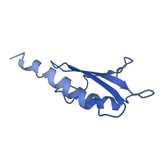 10149_6sd5_D_v1-1
Structure of the RBM2 inner ring of Salmonella flagella MS-ring protein FliF with 22-fold symmetry applied