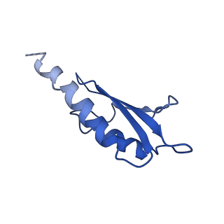 10149_6sd5_F_v1-1
Structure of the RBM2 inner ring of Salmonella flagella MS-ring protein FliF with 22-fold symmetry applied