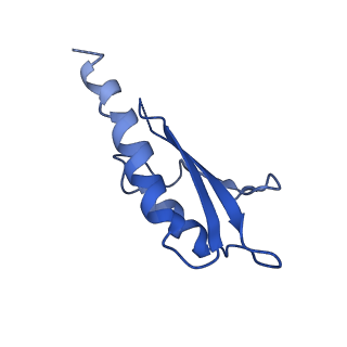 10149_6sd5_G_v1-1
Structure of the RBM2 inner ring of Salmonella flagella MS-ring protein FliF with 22-fold symmetry applied