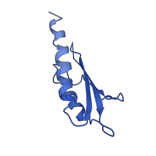 10149_6sd5_I_v1-1
Structure of the RBM2 inner ring of Salmonella flagella MS-ring protein FliF with 22-fold symmetry applied