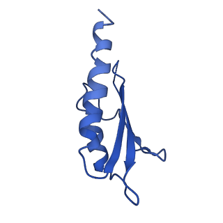 10149_6sd5_J_v1-1
Structure of the RBM2 inner ring of Salmonella flagella MS-ring protein FliF with 22-fold symmetry applied